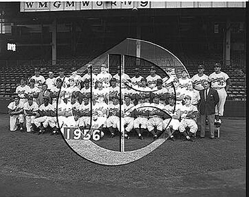 1956 Brooklyn Dodgers Team56N0375